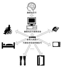 脑肌电多设备集成系统的接口硬件设计探索